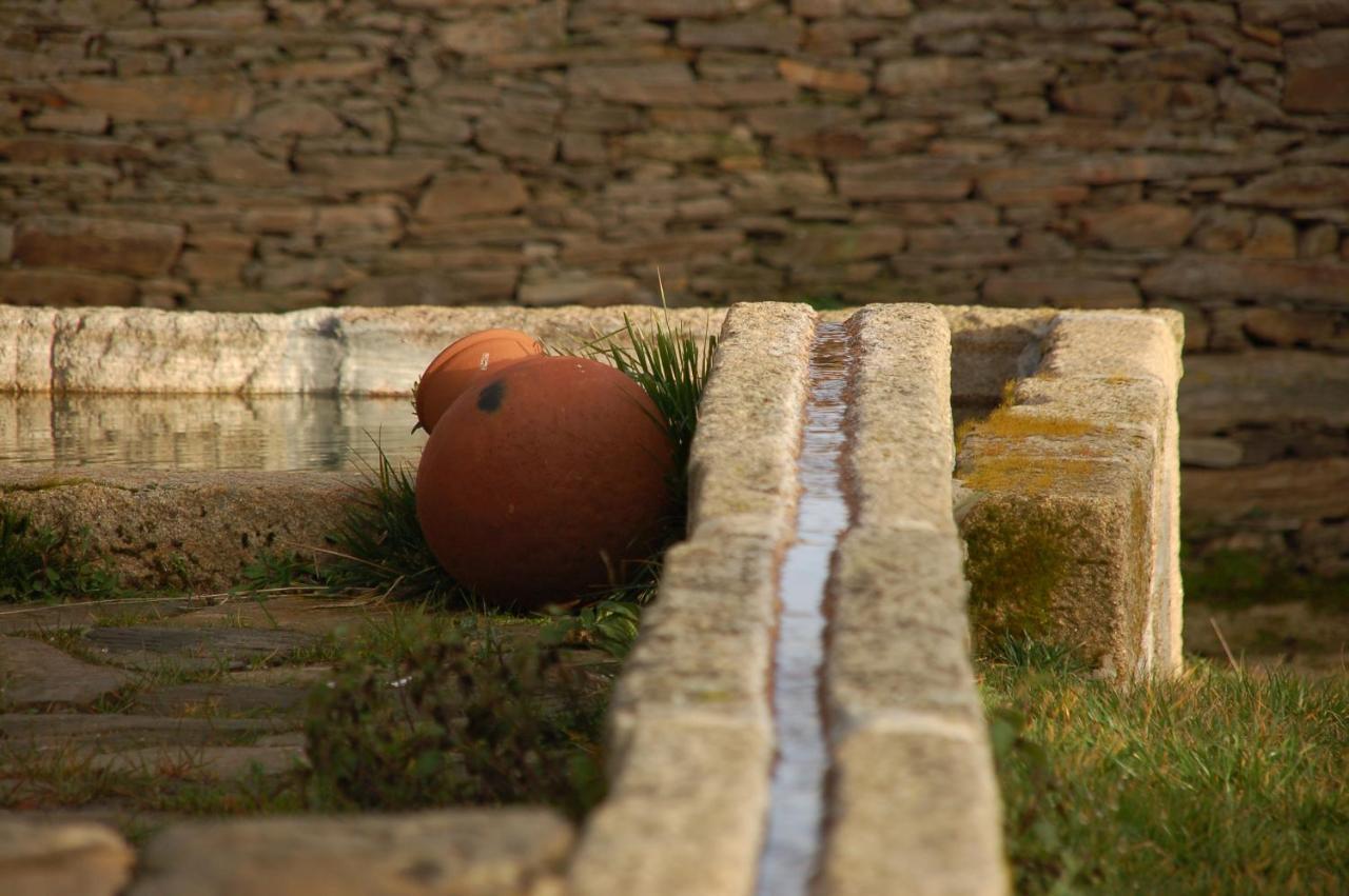Quinta Da Alagoa Villa Santa Maria de Émeres Eksteriør billede