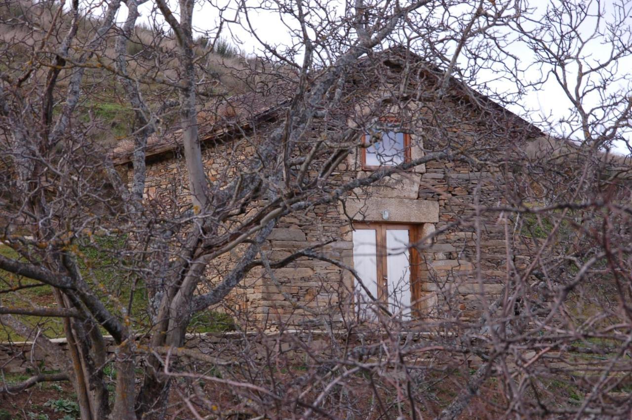 Quinta Da Alagoa Villa Santa Maria de Émeres Eksteriør billede