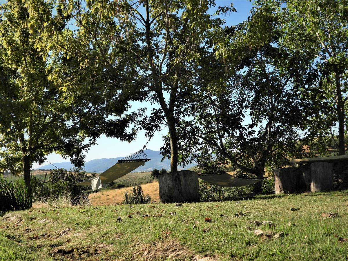 Quinta Da Alagoa Villa Santa Maria de Émeres Eksteriør billede
