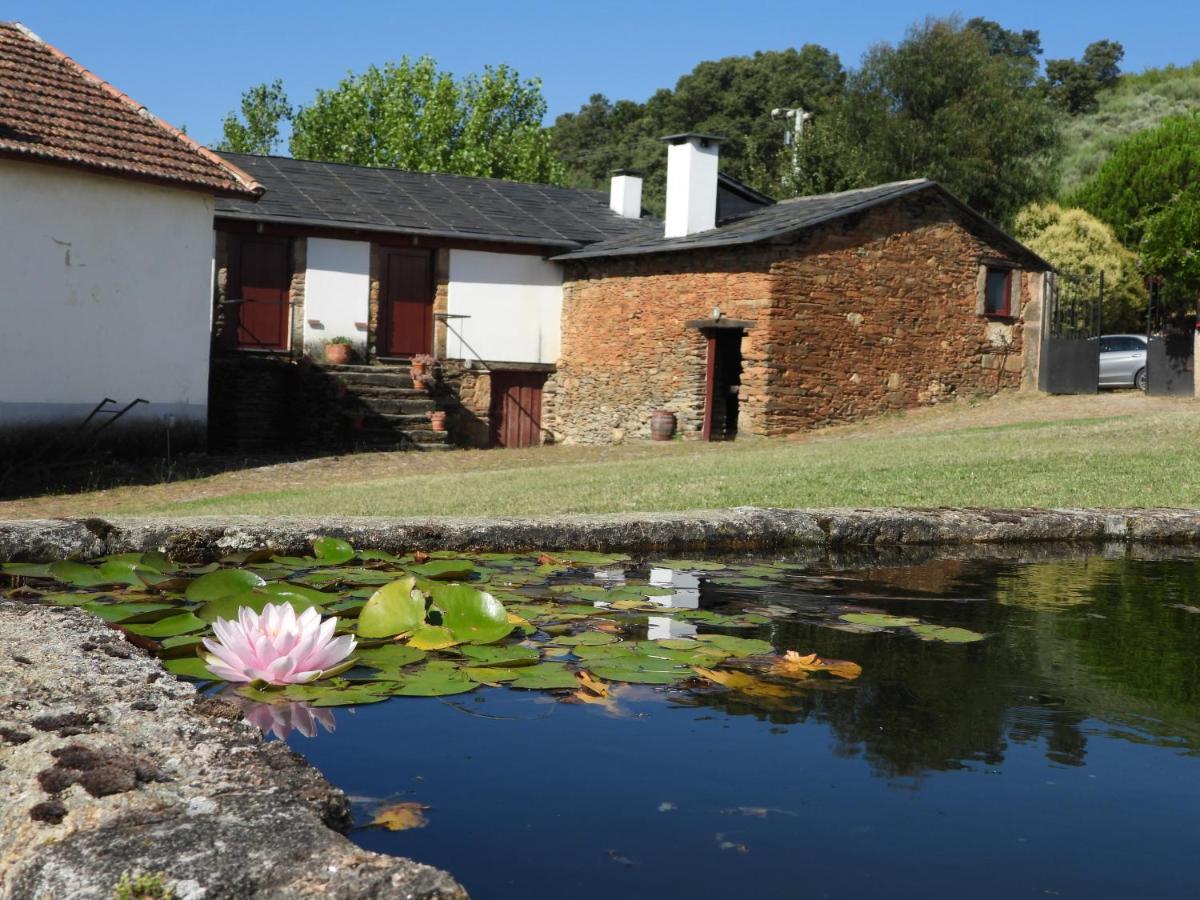 Quinta Da Alagoa Villa Santa Maria de Émeres Eksteriør billede