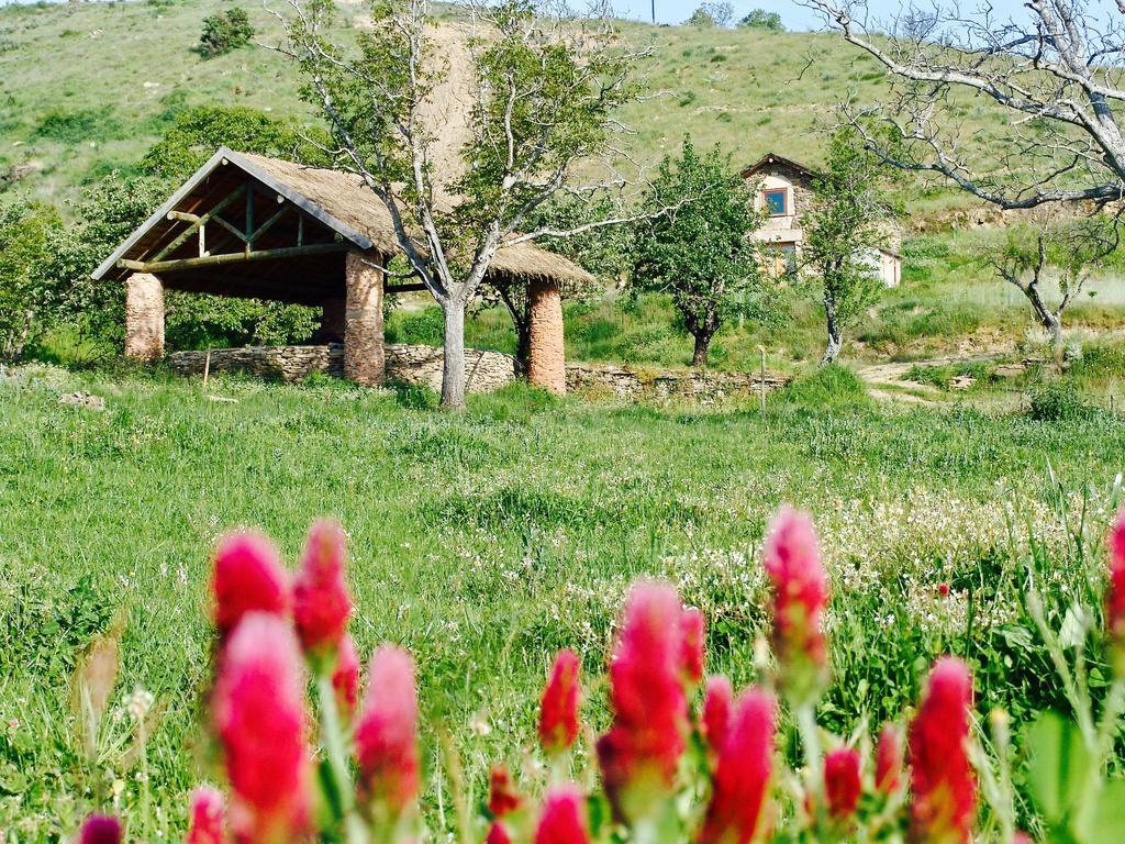Quinta Da Alagoa Villa Santa Maria de Émeres Eksteriør billede