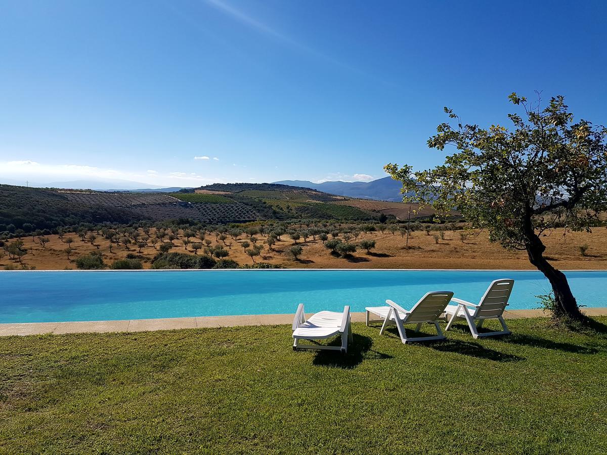 Quinta Da Alagoa Villa Santa Maria de Émeres Eksteriør billede
