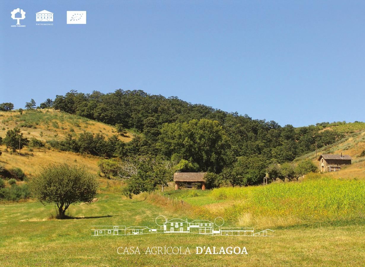 Quinta Da Alagoa Villa Santa Maria de Émeres Eksteriør billede