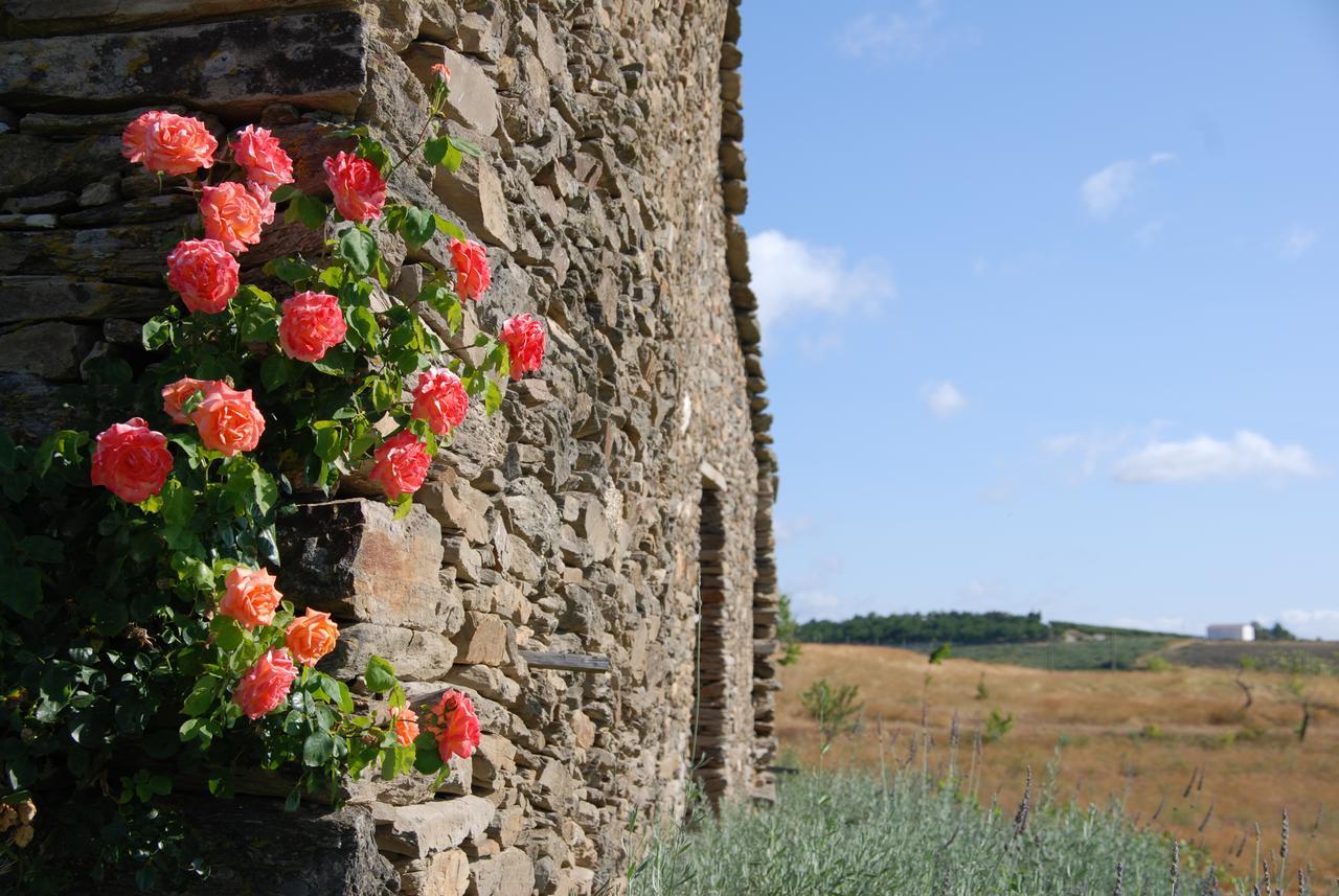Quinta Da Alagoa Villa Santa Maria de Émeres Eksteriør billede