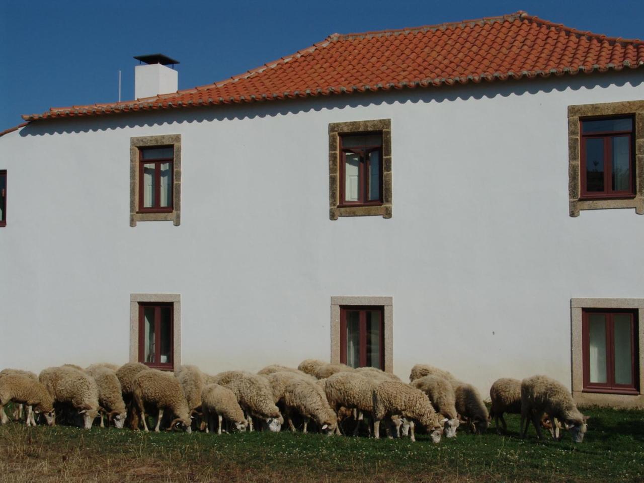 Quinta Da Alagoa Villa Santa Maria de Émeres Eksteriør billede